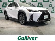 2019 Lexus UX