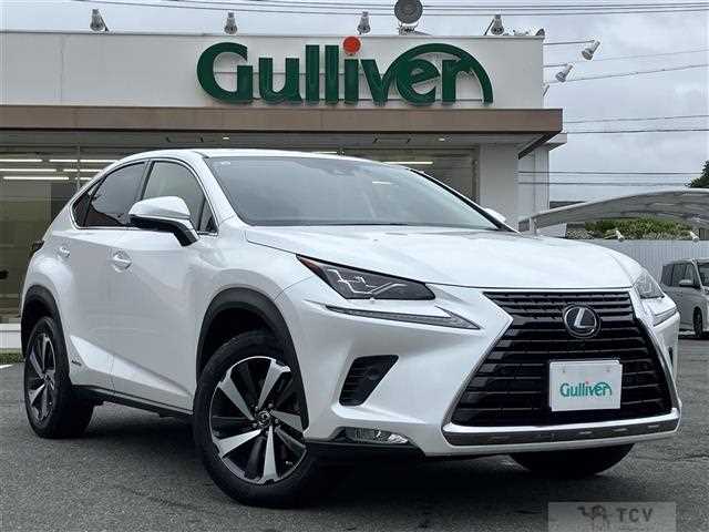 2019 Lexus NX