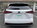 2019 Lexus NX