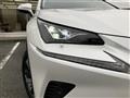 2019 Lexus NX