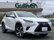 2019 Lexus NX
