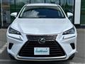 2019 Lexus NX