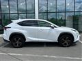 2019 Lexus NX