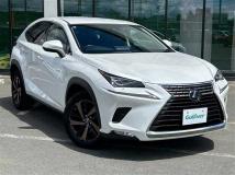 2019 Lexus NX