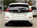 2020 Nissan Leaf