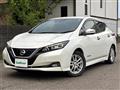 2020 Nissan Leaf