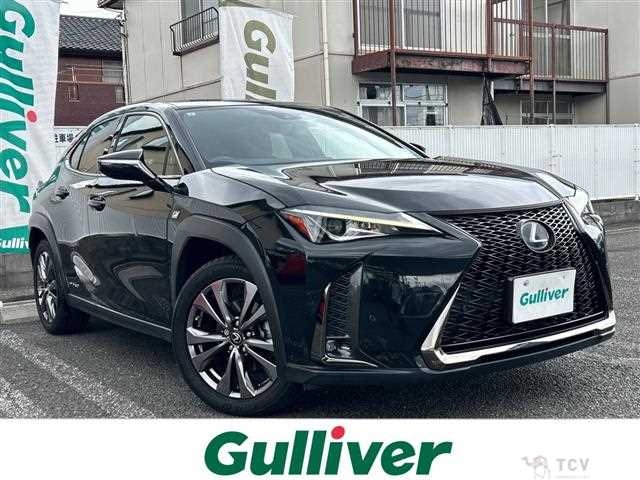 2019 Lexus UX