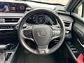 2019 Lexus UX