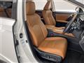 2020 Lexus RX