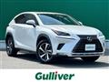 2019 Lexus NX
