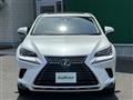 2019 Lexus NX