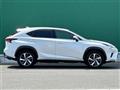 2019 Lexus NX