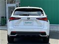 2019 Lexus NX
