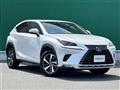 2019 Lexus NX