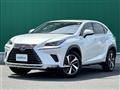 2019 Lexus NX