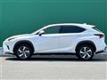 2019 Lexus NX