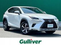 2019 Lexus NX