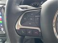 2021 Chrysler Renegade