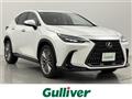 2022 Lexus NX