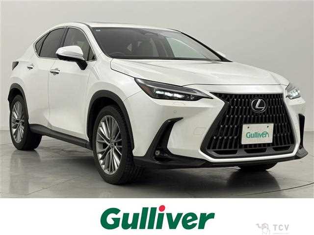2022 Lexus NX