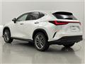 2022 Lexus NX