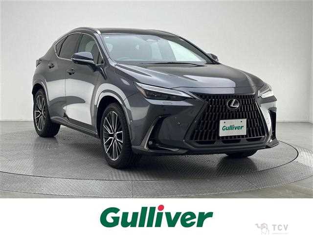 2024 Lexus NX