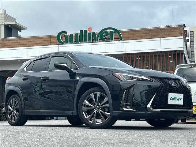 2020 Lexus UX