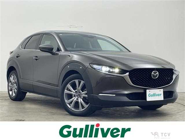 2019 Mazda CX-3