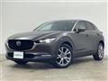 2019 Mazda CX-3