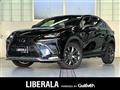 2019 Lexus NX