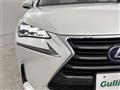 2014 Lexus NX