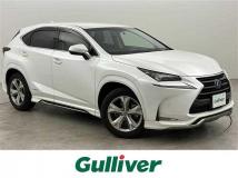 2014 Lexus NX