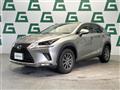 2018 Lexus NX