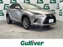 2018 Lexus NX