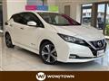 2020 Nissan Leaf