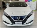 2020 Nissan Leaf