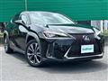 2019 Lexus UX