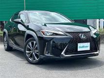 2019 Lexus UX