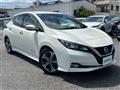 2019 Nissan Leaf
