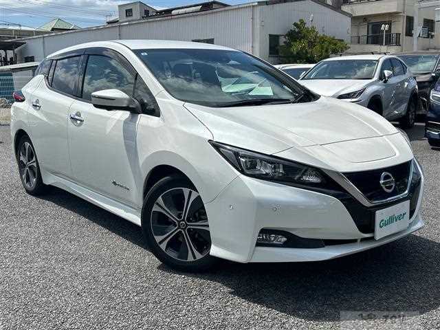 2019 Nissan Leaf