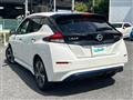 2019 Nissan Leaf