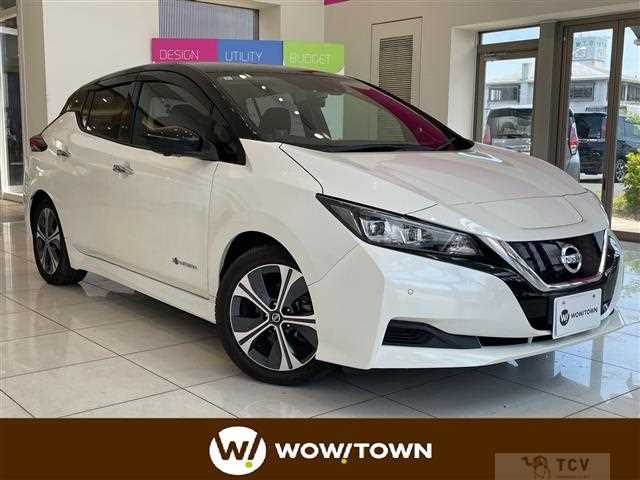 2020 Nissan Leaf