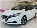 2020 Nissan Leaf