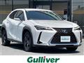 2020 Lexus UX