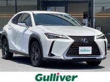 2020 Lexus UX