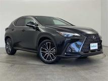 2023 Lexus NX