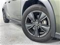 2024 Lexus UX