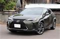 2020 Lexus Other