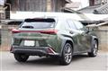 2020 Lexus Other