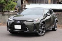 2020 Lexus Other